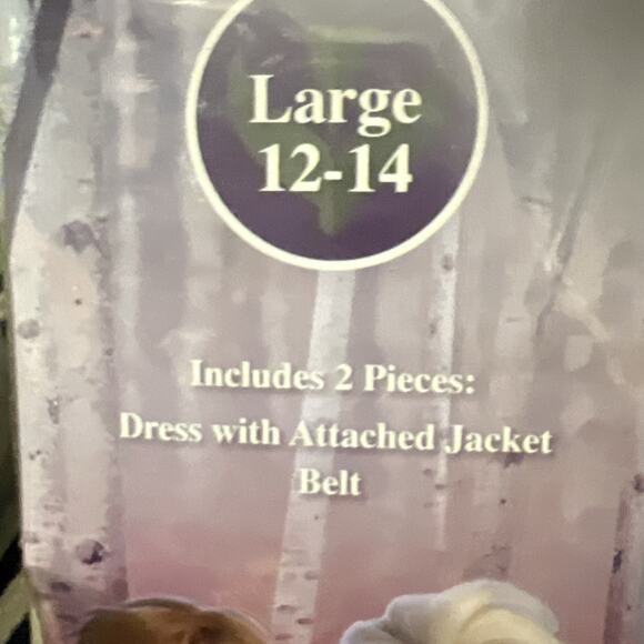 Disney Frozen II Anna Dress Halloween Costume Beige Dress Size Large 12-14 - Picture 3 of 4